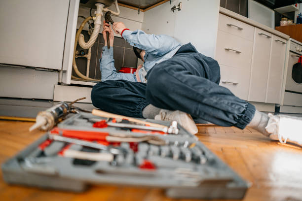 Best Residential Plumbing Services  in Sanborn, NY