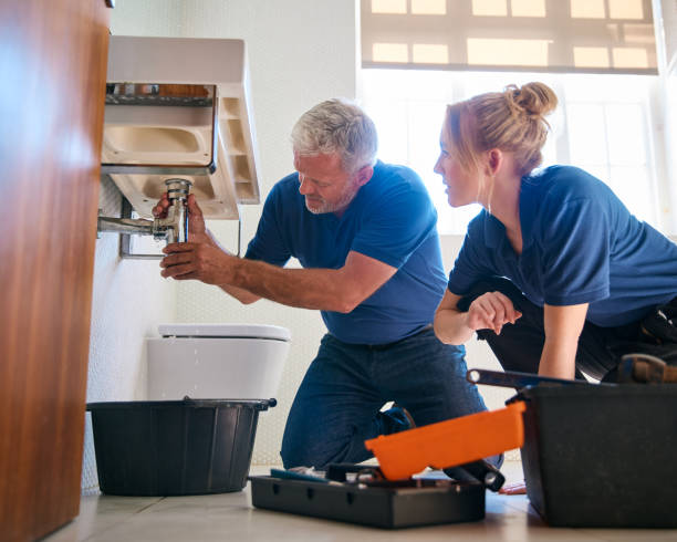 Best Local Plumber Services  in Sanborn, NY